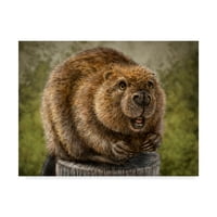Zaštitni znak likovne umjetnosti Beaver Totem umjetnost patrick lamontagne