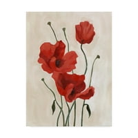 Zaštitni znak likovne umjetnosti 'Poppy Bouquet II' platnena Umjetnost Emme Scarvey