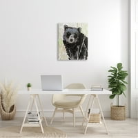 Stupell Industries Slikarski crni medvjed apstraktno šumsko lišće platno Wall Art, 30, dizajn Stellar