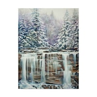 Zaštitni znak likovne umjetnosti' zimski vodopadi ' platnena Umjetnost Carol J Rupp