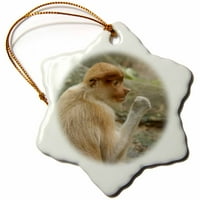 Proboscis monkey, Sabah, Borneo, Malezija - kao i-Cindy Miller Hopkins pahuljica Porculanski Ornament