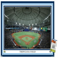 Tampa Bay Rays-zidni Poster Tropicana sa klinovima, 22.375 34