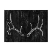 Zaštitni znak likovne umjetnosti 'ua Ch Rustic Antlers II' Platno umjetnost Ethan Harper