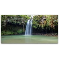 Twin Falls Mauijeva platnena Umjetnost Pjera Leclerca