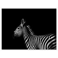 Bočni pogled zebre u bijeloj i crnoj fotografiji platna umjetnička ispisa