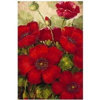 Zaštitni znak likovne umjetnosti poppies II platno umjetnost