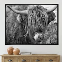 Designart 'Close Up of Scottish Cow On Moorland II' Farmhouse Framed Canvas Wall Art Print