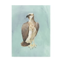 Zaštitni znak likovne umjetnosti 'akvarel plaža Bird IV' platno umjetnost Grace Popp