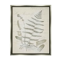 Stupell Industries Latin Study Vintage Fern Botanical Botanical & Floral Drawing Grey Floater Framedred