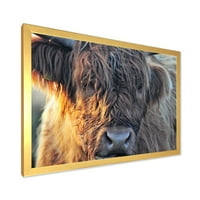 Designart 'Close up of Scottish Cow On Moorland III' Farmhouse Framed Art Print